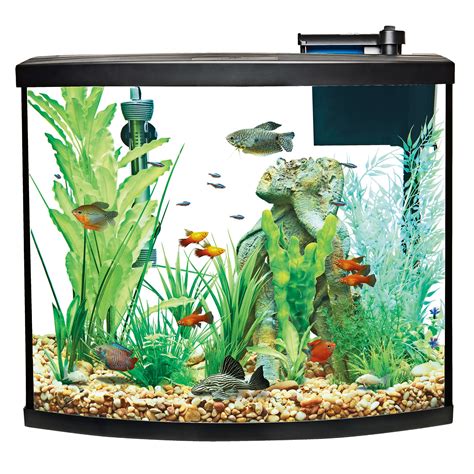 59 Fluval Profile Aquarium All in One Glass Aquariums. . 36 gallon bow front aquarium lid